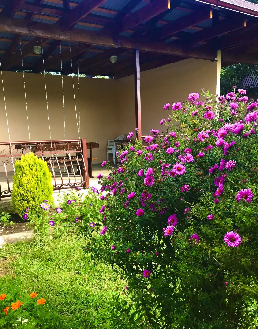 . Гостевой дом "Оазис". Сухум