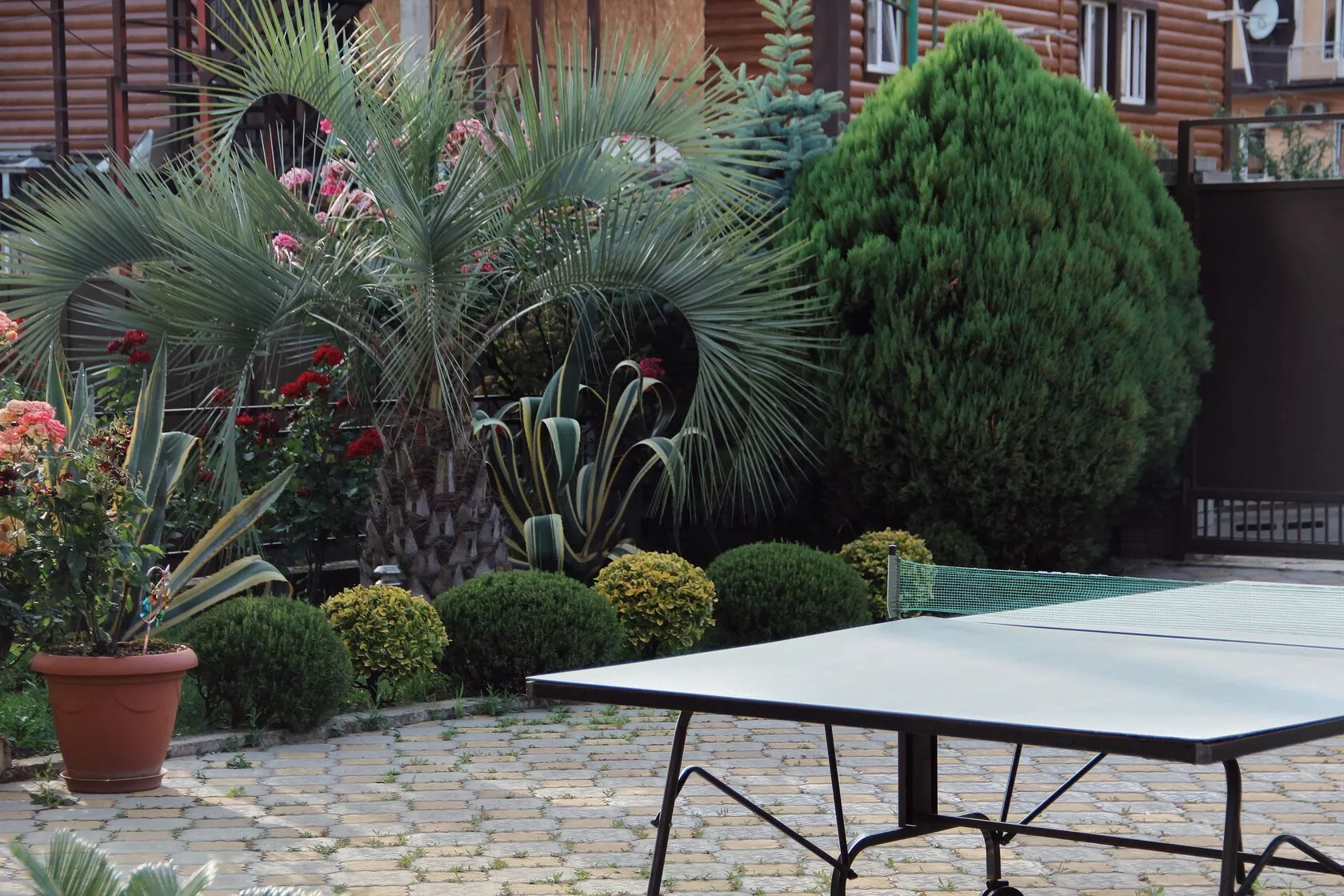 . Апарт-отель “Planeta MOV”. Адлер