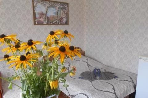  Эконом, Полулюкс, Люкс, Коттедж. Частный сектор Марина. Макопсе