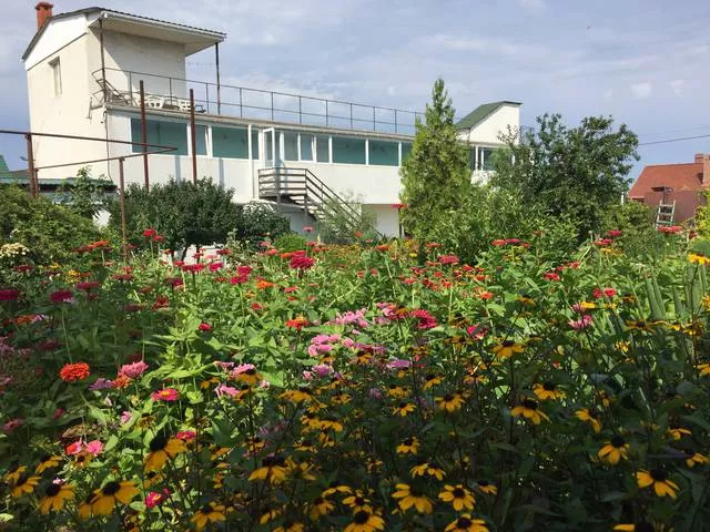 . Гостевой дом «Алла». Севастополь