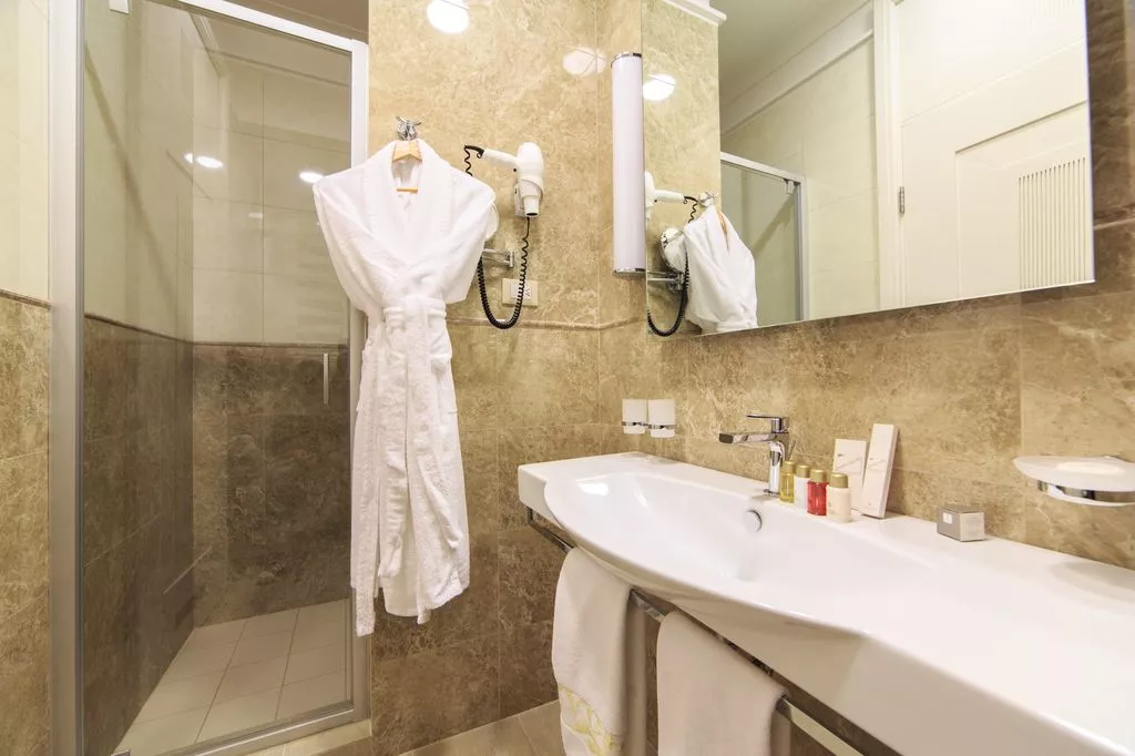 Стандарт. Санаторий Авангард. Хоста