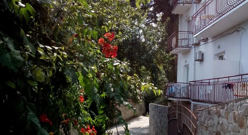 . Гостевой дом «Кедр-Восток». Алупка