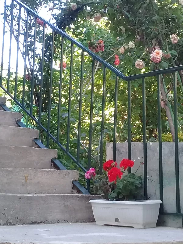 . Частный сектор " В парке ". Севастополь