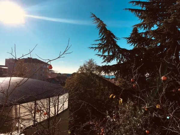 . Гостевой дом "Виолетта". Сочи