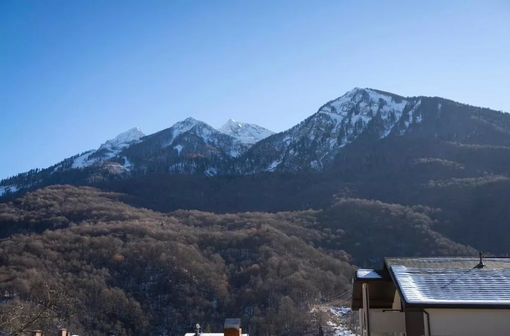 Номер-студио с видом на горы. Апарт-отель Steford Aparts. Красная Поляна