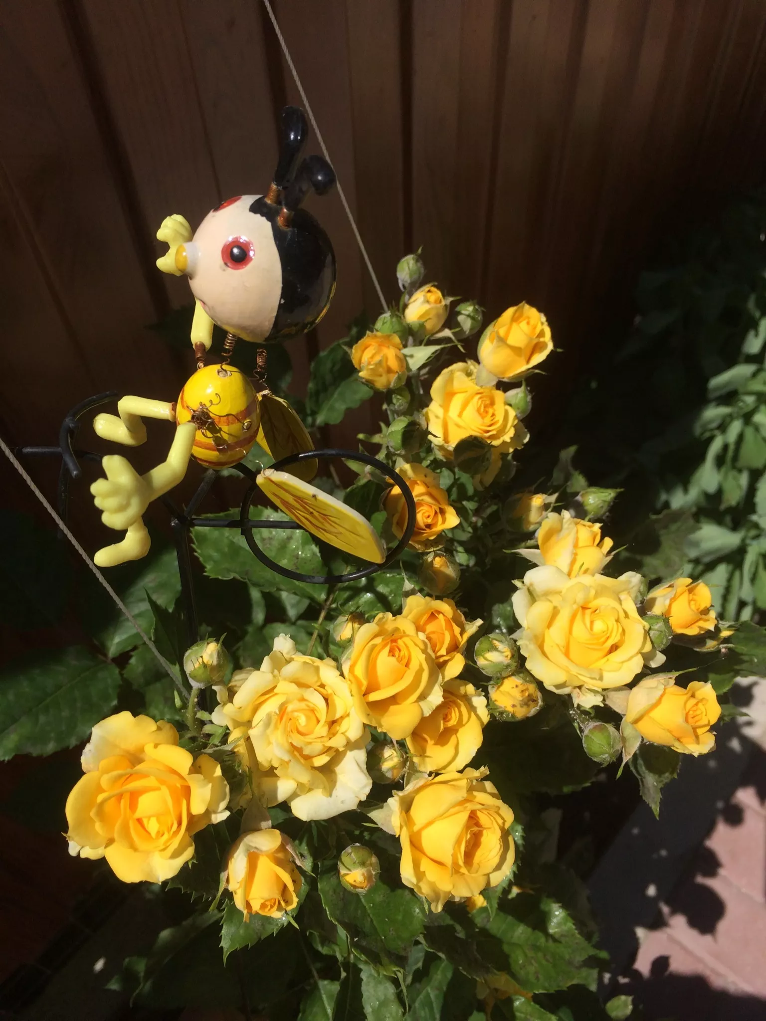 . Гостевой дом «Пчела». Ейск