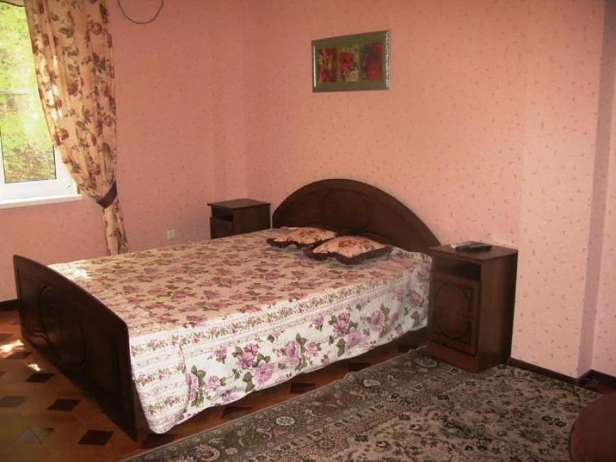 2-х местный. "Стрекоза". Сукко