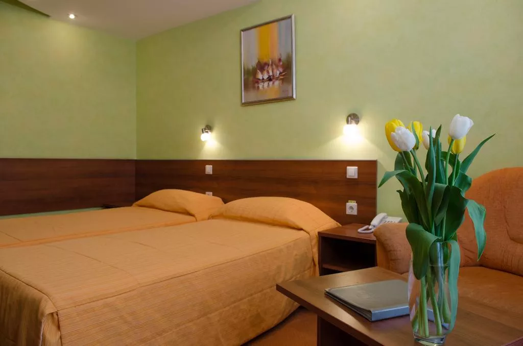 Стандарт-сингл. Отель Адельфия. Адлер Стандарт-сингл. Отель Адельфия. Адлер