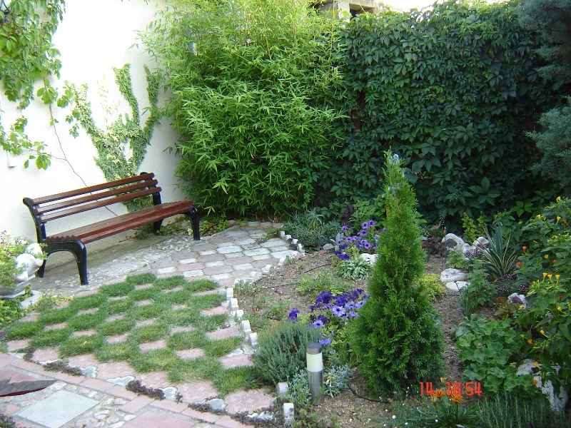 . Гостевой дом "Паутинка". Севастополь . Гостевой дом "Паутинка". Севастополь