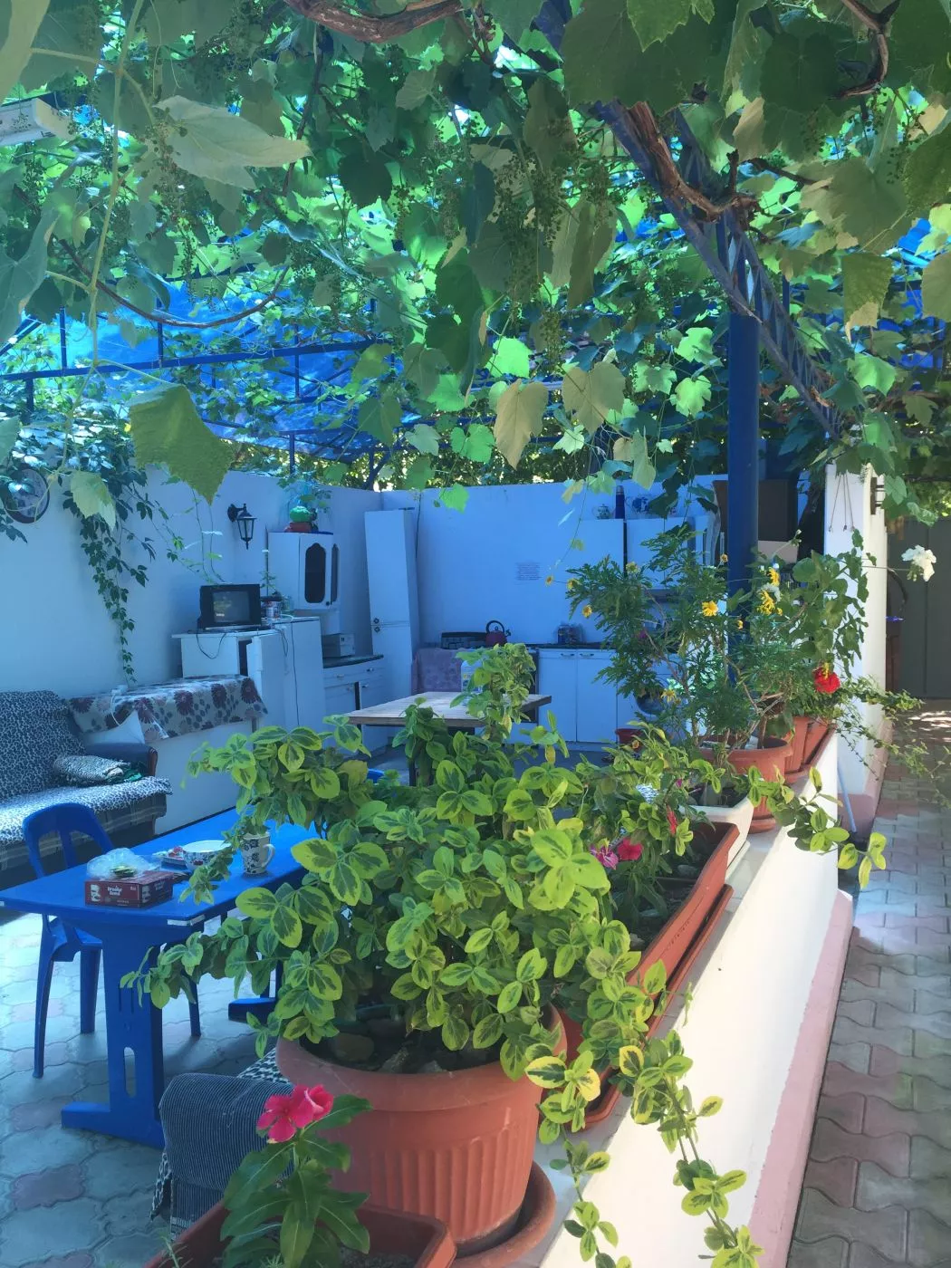 . Гостевой дом на Комарова 17. Витязево