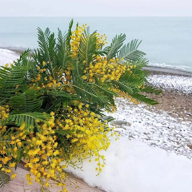 . Отель КАВКАЗ. Гостиницы и отели Лазаревского