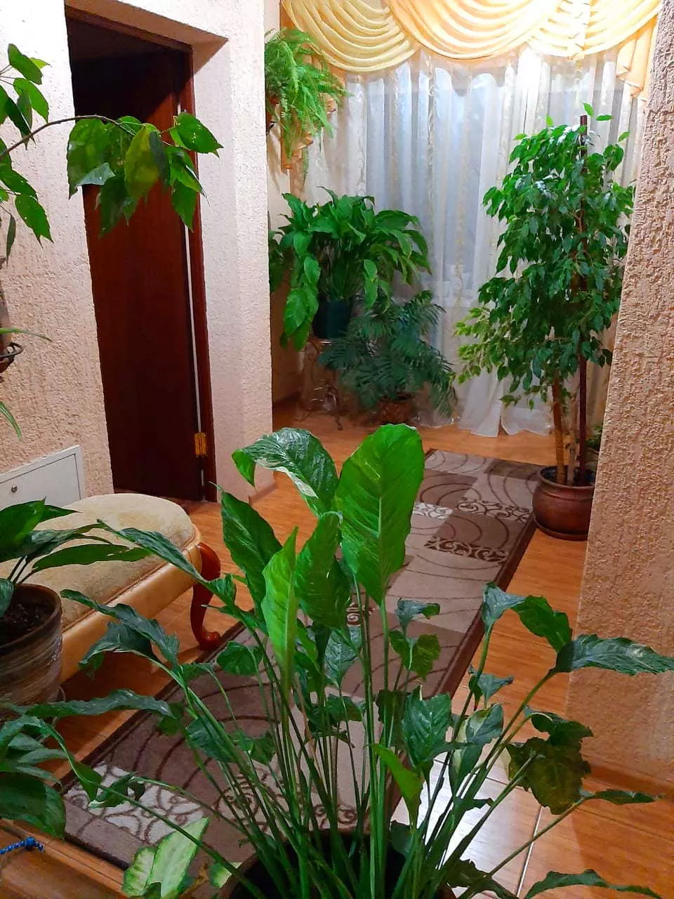 . Коттедж Райский уголок. Лазаревское