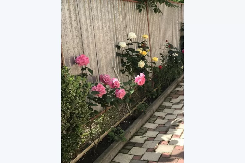 . Частный сектор Амалия. Туапсе