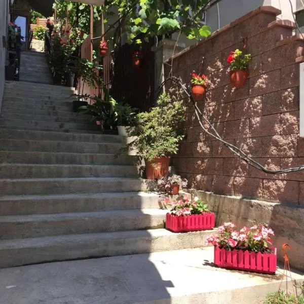 . Гостевой дом София-Виктория. Гагра