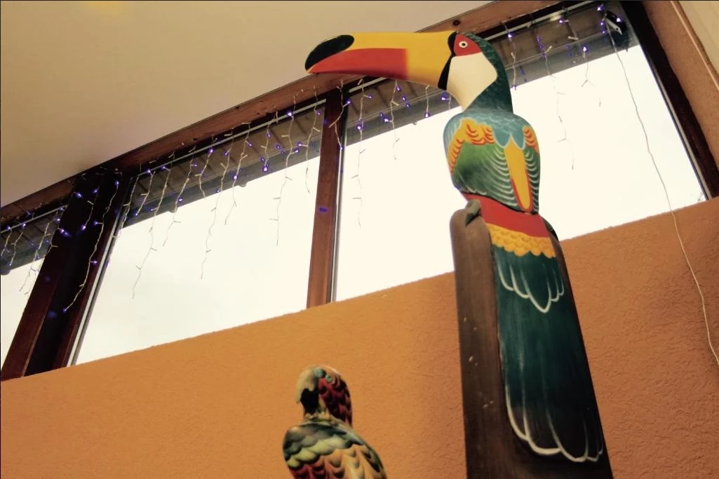 . Гостиница Тукан. Красная Поляна