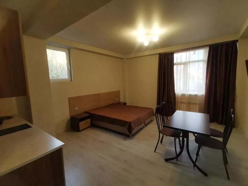 . Отель "Mountain View" апарт-отель . Красная Поляна