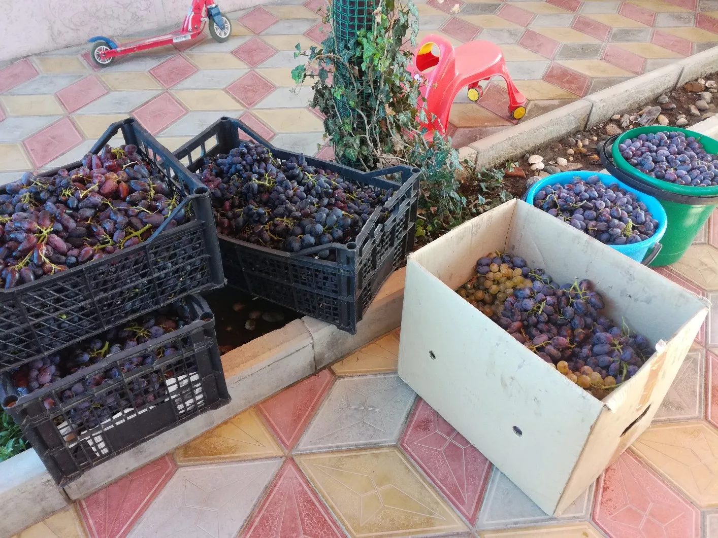 . Частный гостевой дом Касабланка. Кучугуры