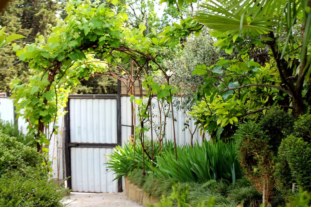 . Частный сектор "Агеевъ". Лазаревское