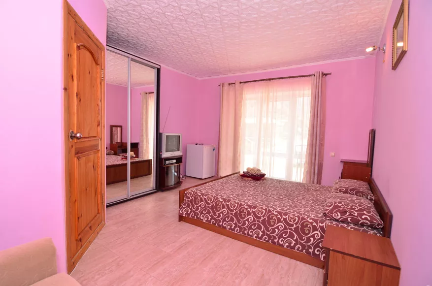 2-3-местный 1-комнатный 