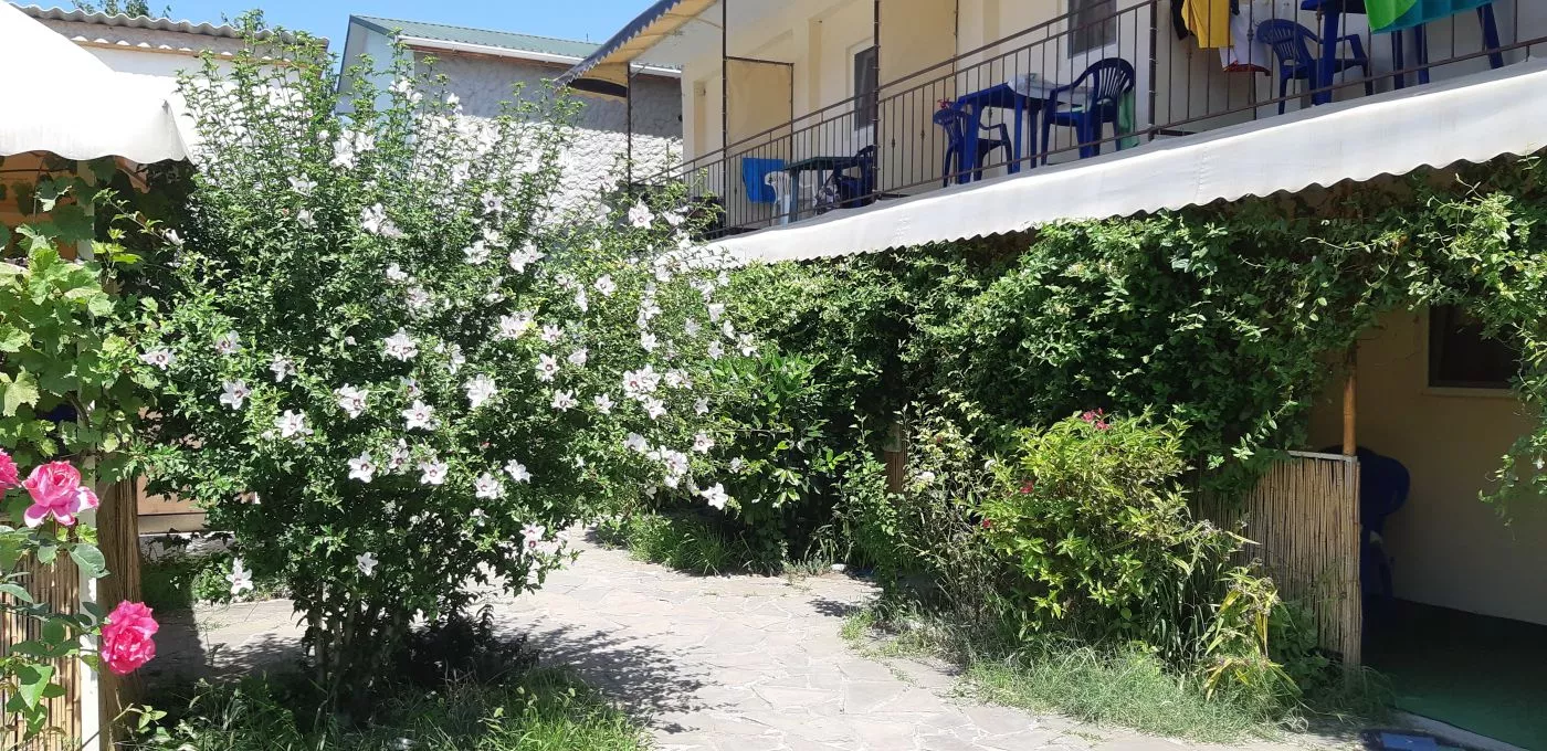 . Гостевой дом Орловка. Севастополь . Гостевой дом Орловка. Севастополь