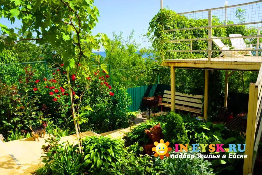 .  ГОСТЕВОЙ ДОМ «КСЕНИЯ». Ейск