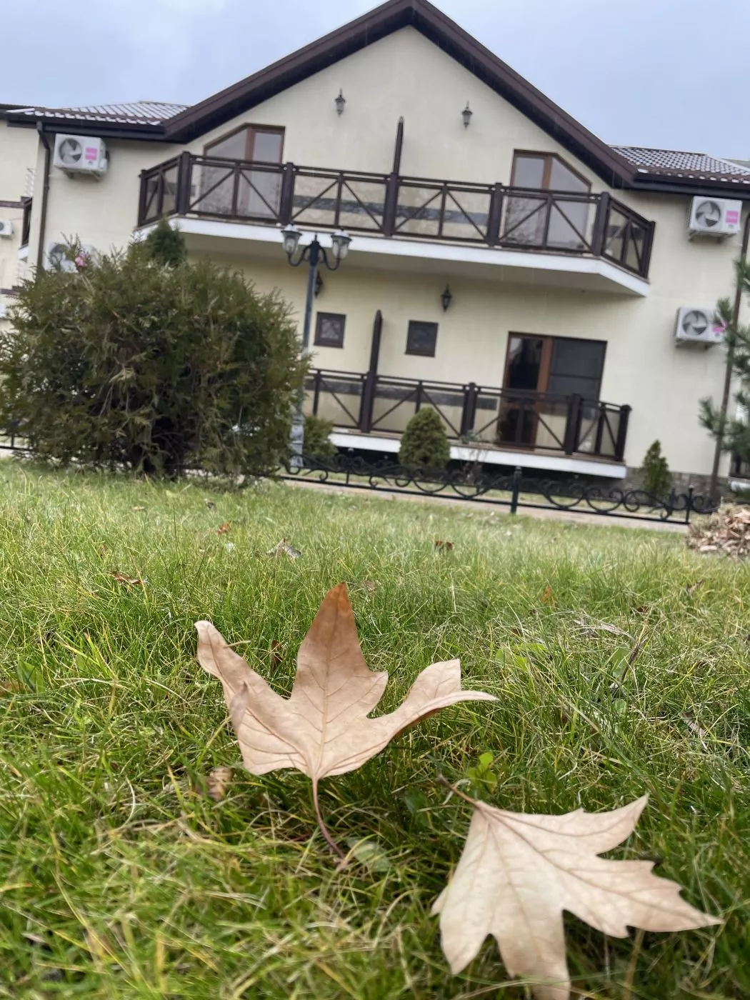 . База отдыха "Платан Resort". Витязево