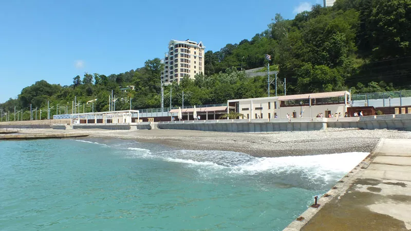 . Санаторий Зеленая роща. Хоста