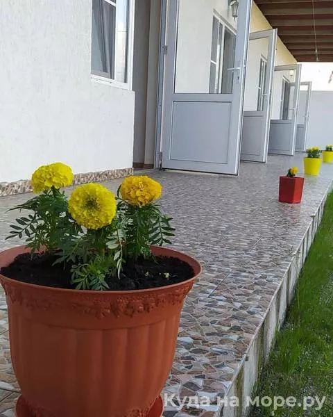 . Гостевой дом Лиза. Цандрипш