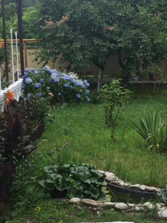 . Гостевой дом «Южная звезда». Якорная Щель