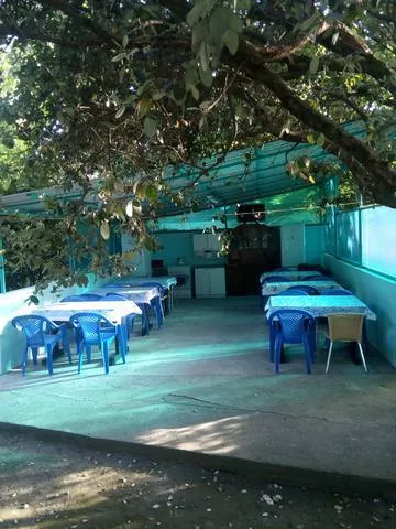 . Частный сектор На Тихорецкой. Солоники