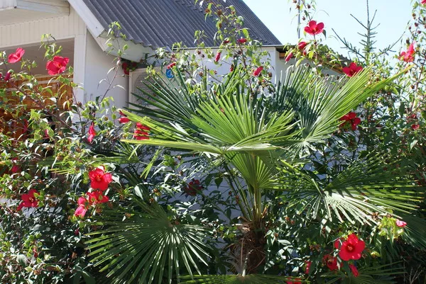 . Гостевой дом "Светлана" - Лоо. Лоо