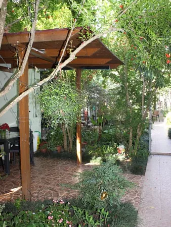 . Частный сектор "Колибри". Адлер . Частный сектор "Колибри". Адлер