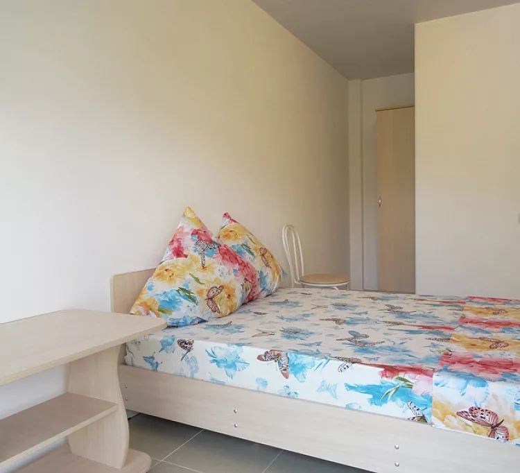 Стандарт. Частный гостевой дом Розовый дом. Солоники