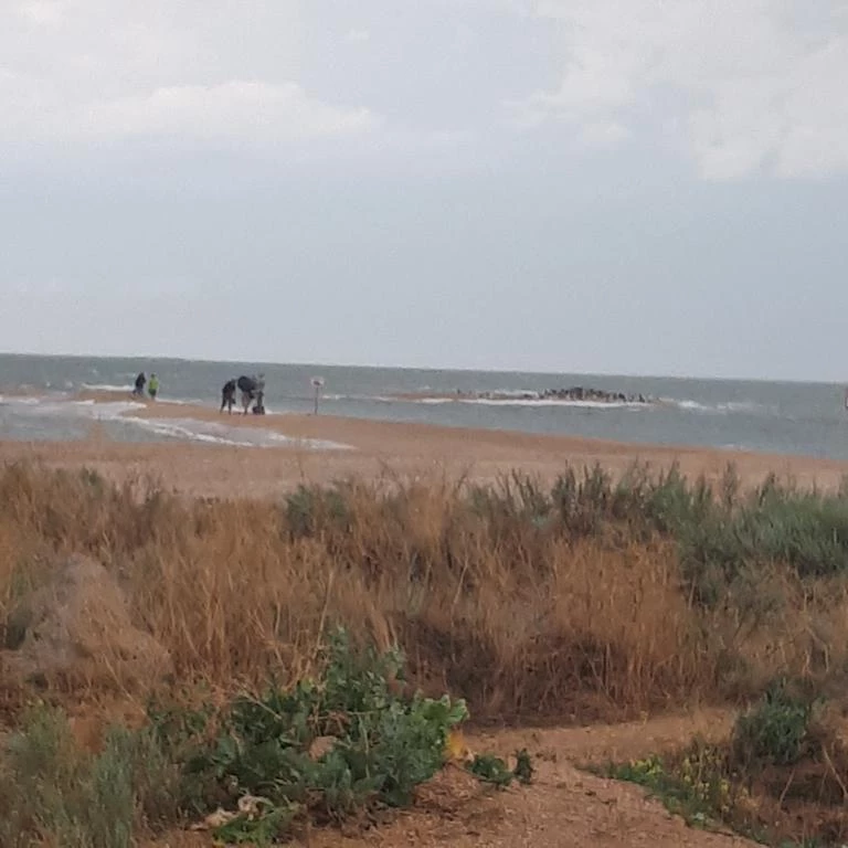 . Гостевой дом "Сокол". Должанская