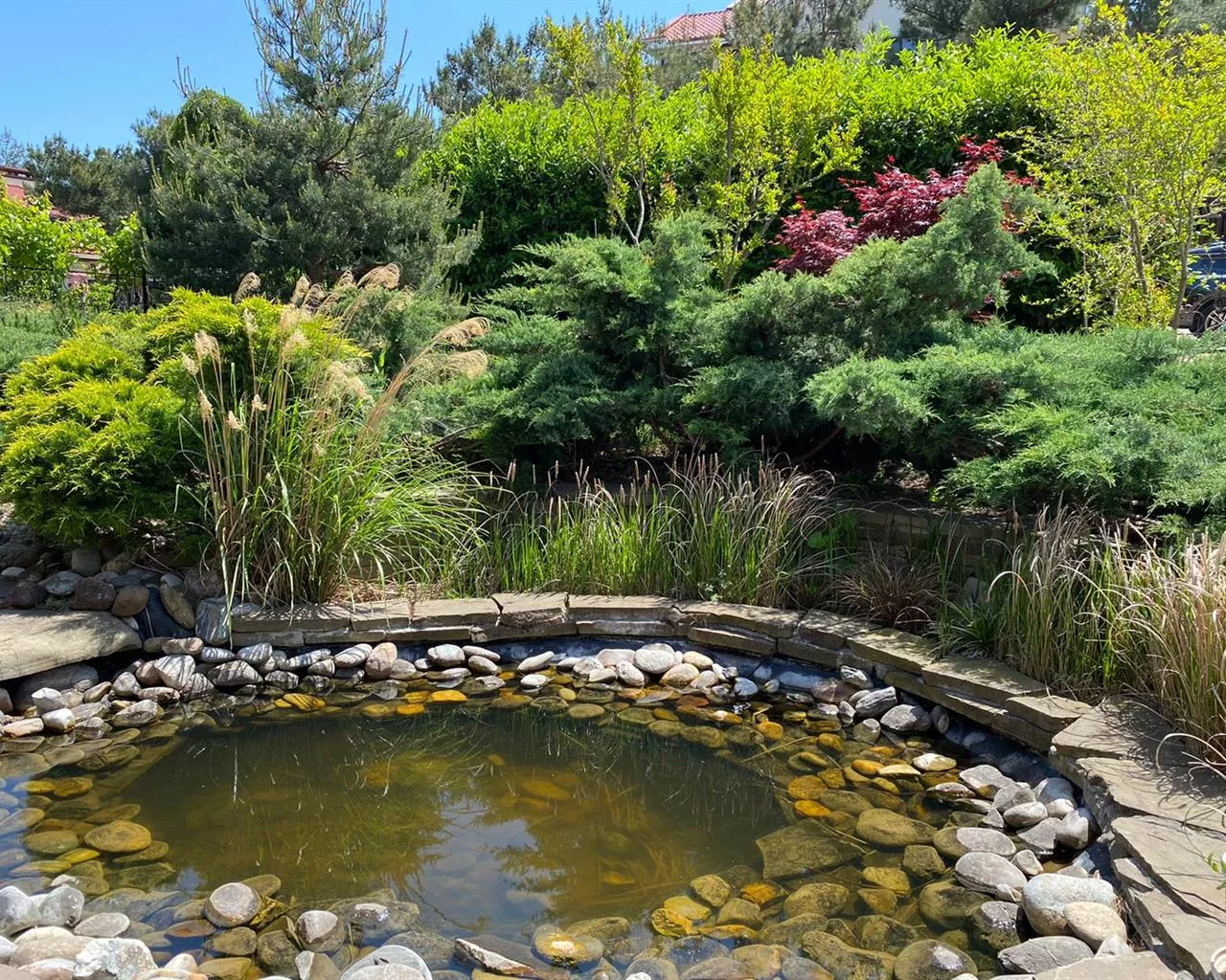 . Дом в Кедровой роще. Кабардинка