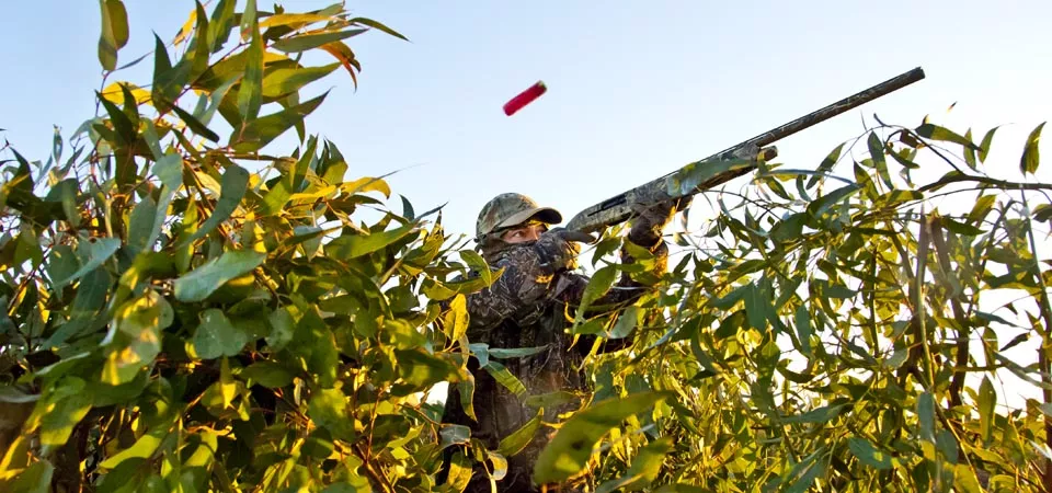 . Гостевой дом "Александровский". Темрюк