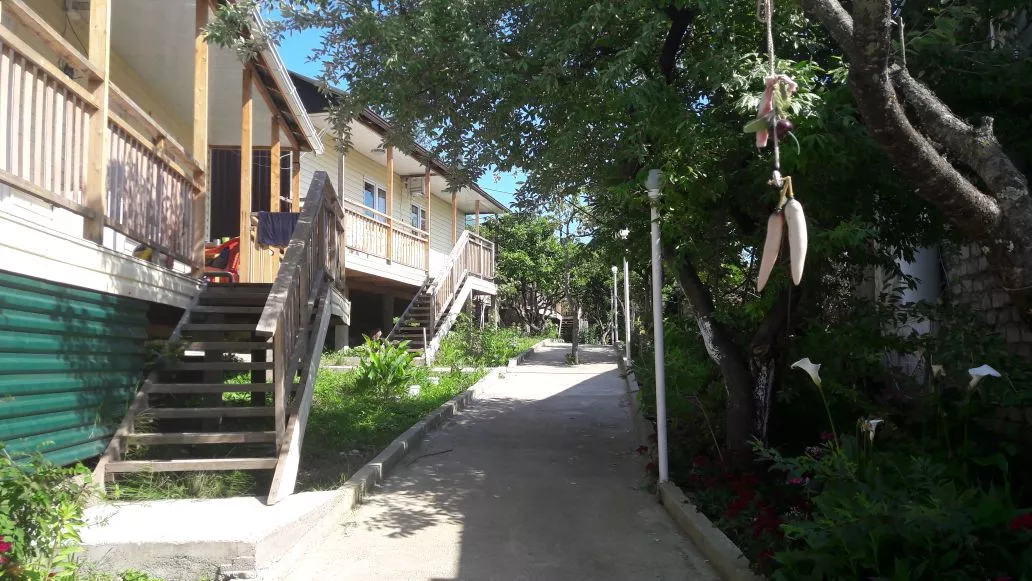 . Гостевой дом У Гаянэ. Новый Афон . Гостевой дом У Гаянэ. Новый Афон