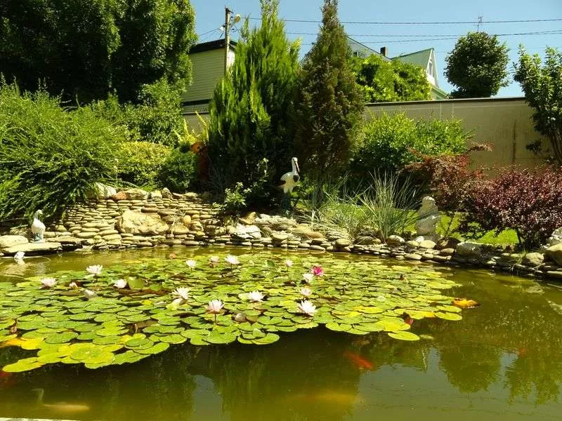 . Гостевой дом "Костяника" . Криница . Гостевой дом "Костяника" . Криница