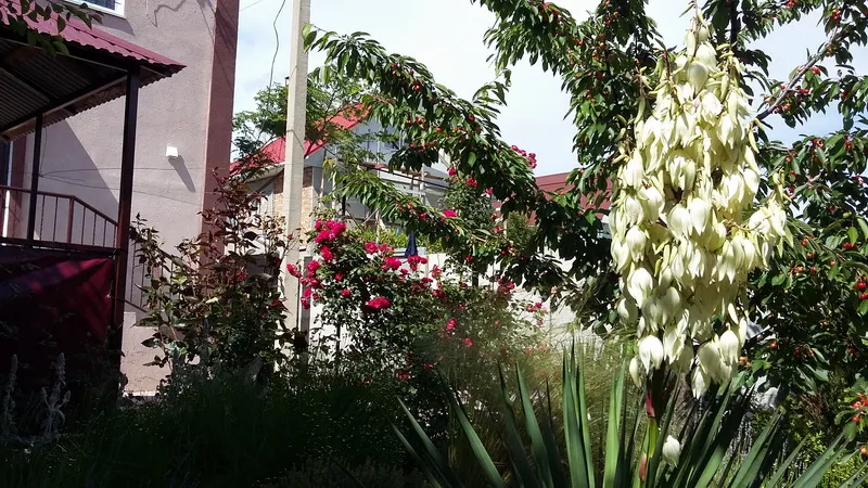 Дом под-ключ Качинское шоссе 8 