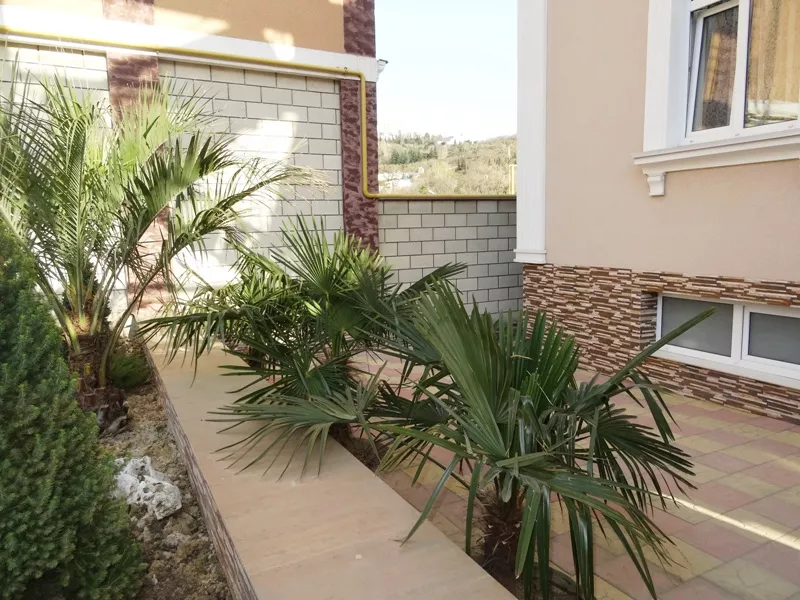 . Гостевой дом Айше. Ялта