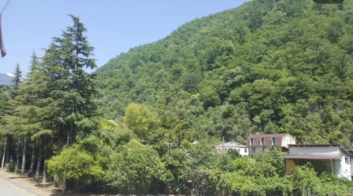 Люкс . Гостевой дом Горный ручей. Гагра