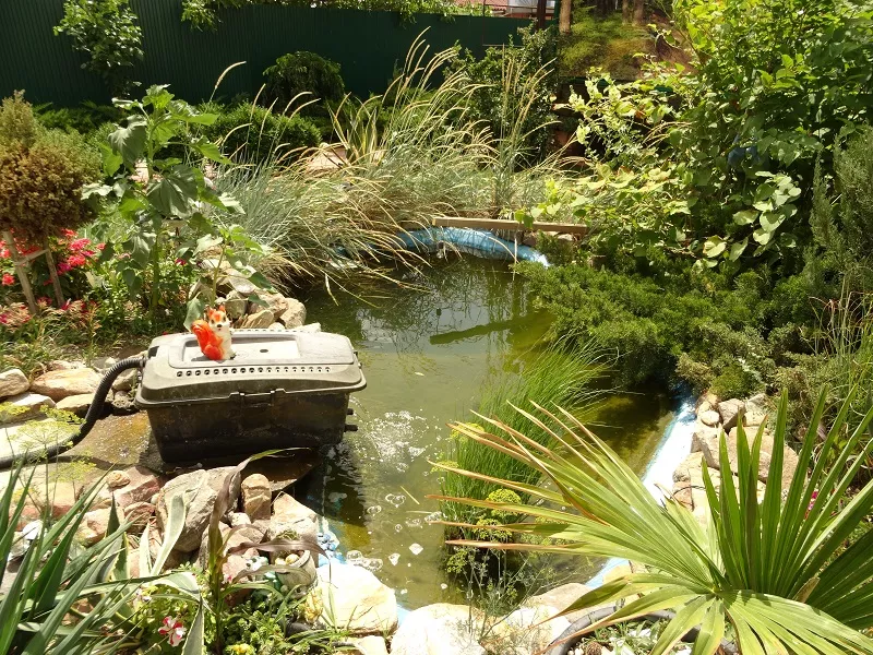 . Гостевой дом "Жемчужина" - Должанская. Должанская