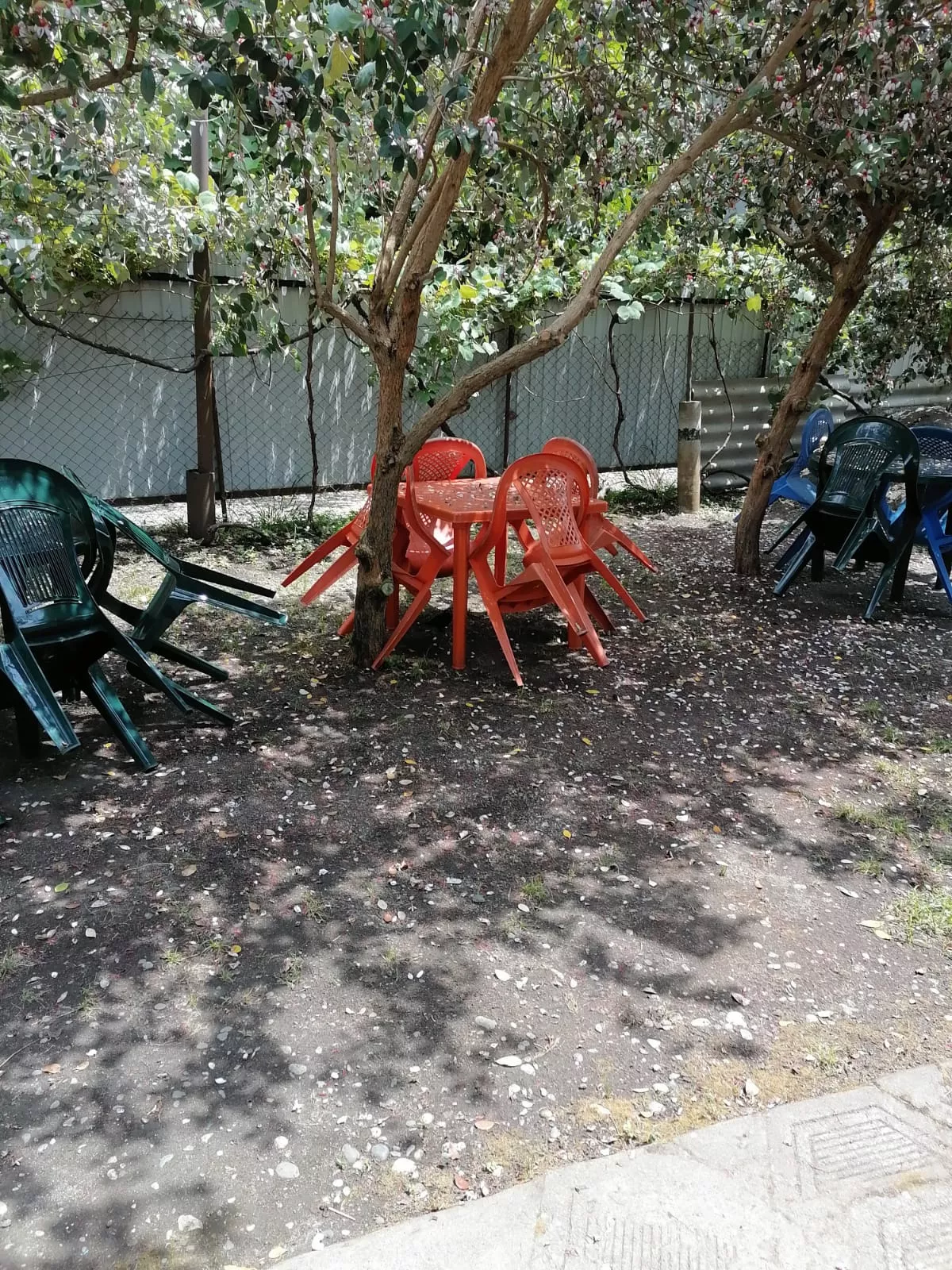 . Частный сектор "Гортензия". Пицунда