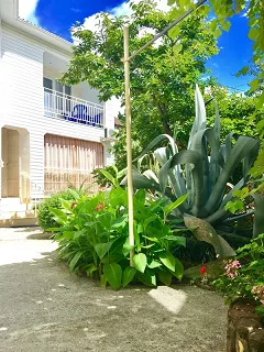 . Частный сектор Экзотика. Лоо