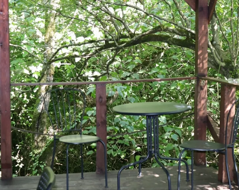 . Гостевой комплекс “Дубрава”. Лазаревское