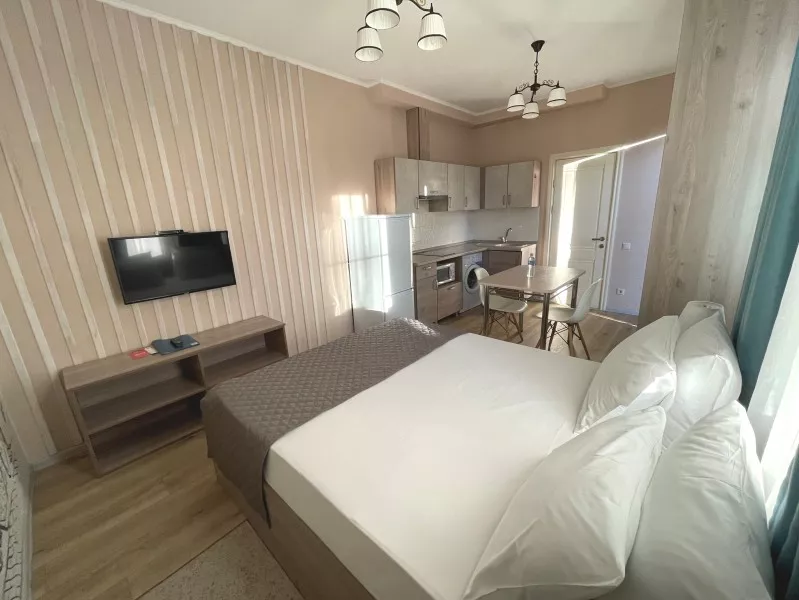 Двухместные апартаменты студио. Апартаменты Чудо. Красная Поляна