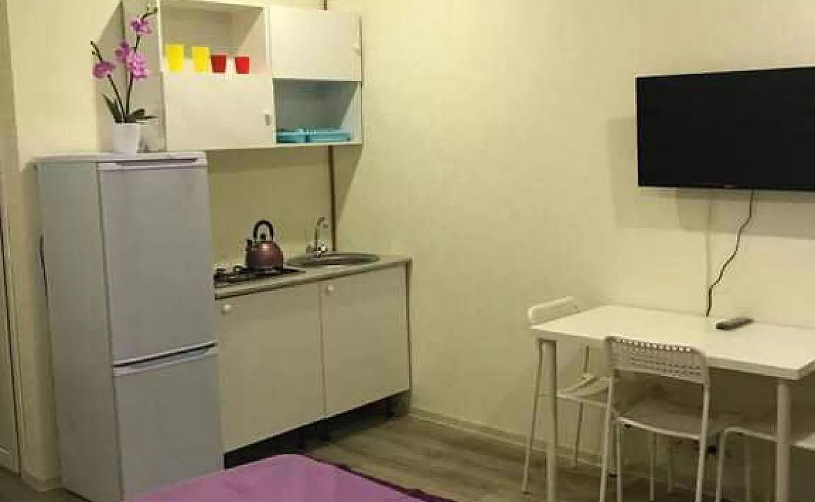 3-х местная студия. Гостевой дом LooRoom (studio). Лоо