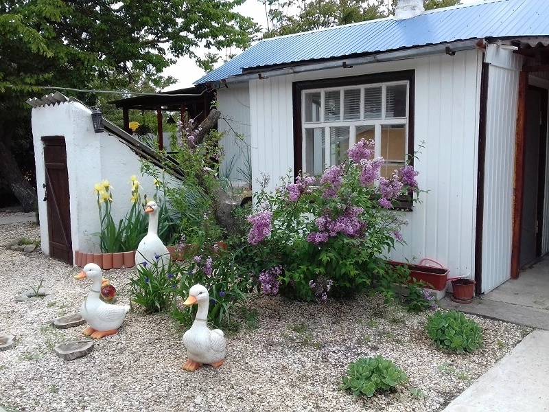 Гостевой дом "Вероника" - Должанская Гостевой дом "Вероника" - Должанская