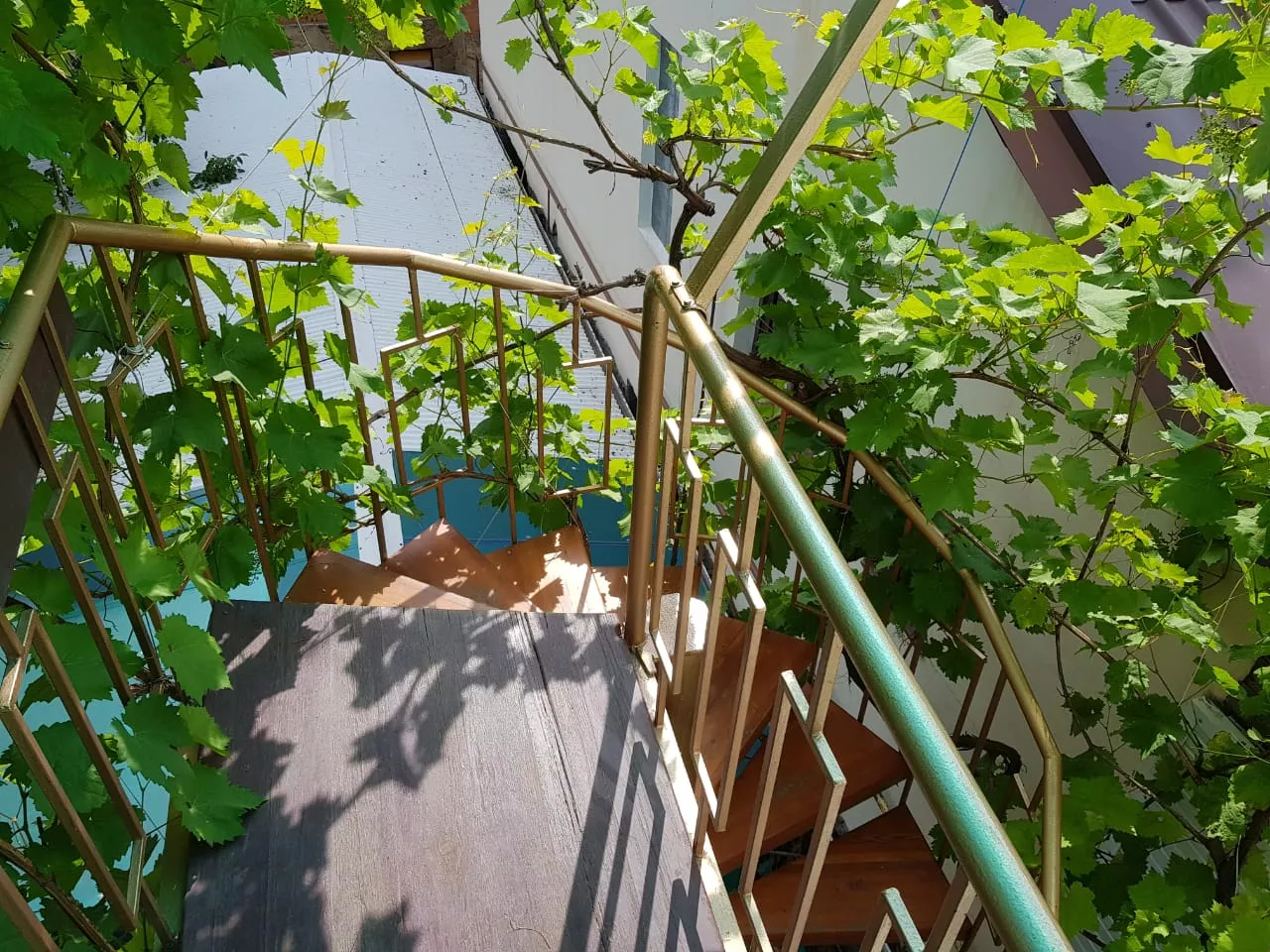 . Гостевой дом Фортуна - Анапа. Анапа