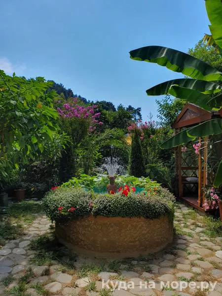 . Гостевой дом Алиса - Солоники. Солоники